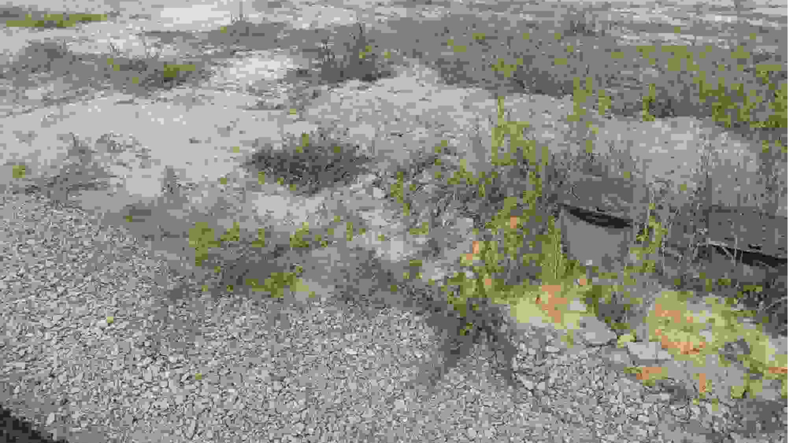 Terrain constructible de 460m2 à Saint-Sauveur-des-Landes