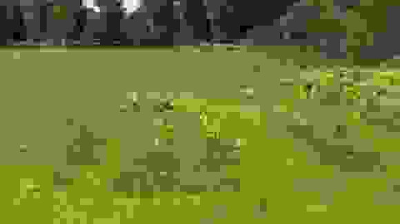 terrain 2.jpg