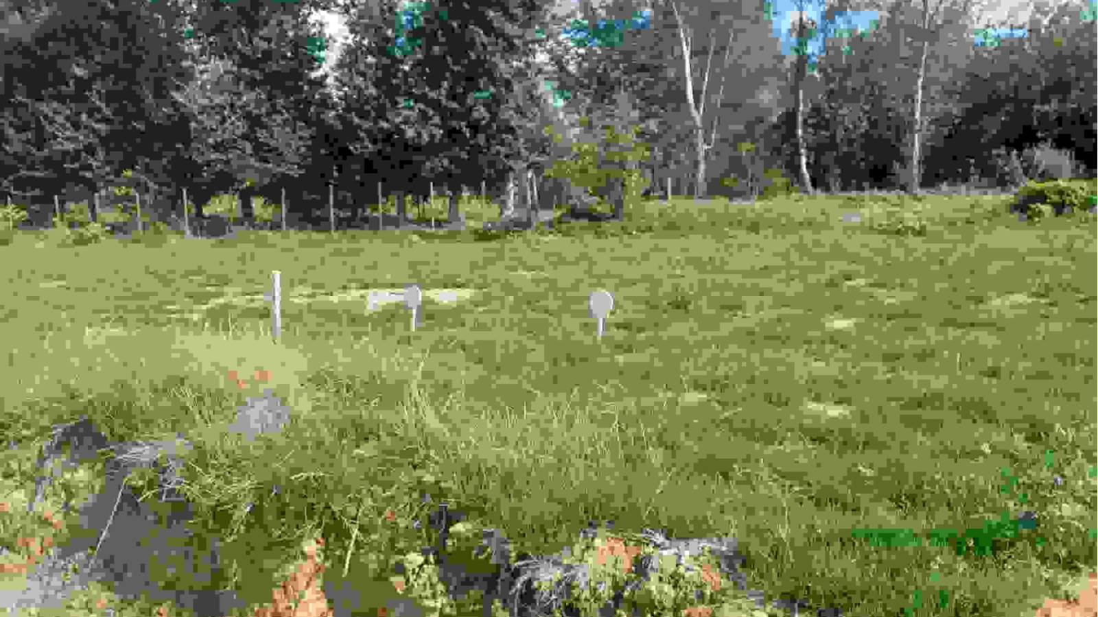 Terrain constructible de 660m2 à Tinténiac