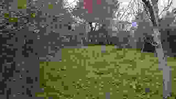 WP_20171206_15_07_47_Pro.jpg