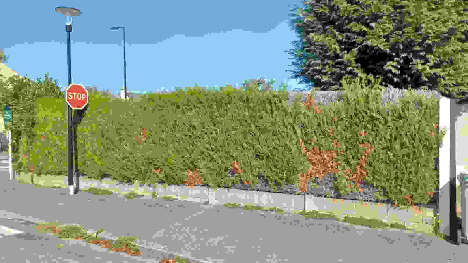 Terrain constructible de 304m2 à Rennes