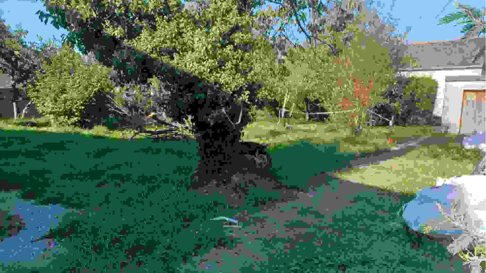 Terrain constructible de 569m2 à Pacé