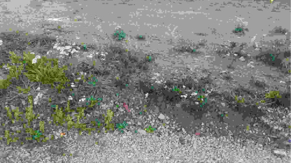 20221024_093724.jpg