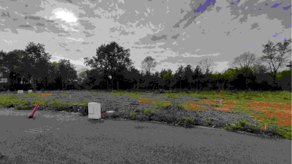 20221026_153916.jpg