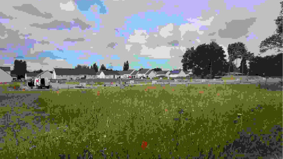 20220606_100550.jpg