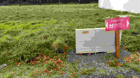 20221024_094450.jpg