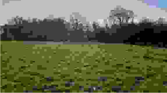 crossac.JPG