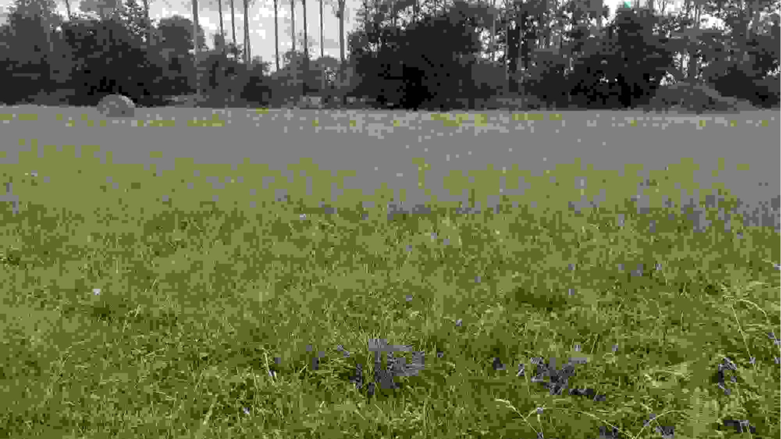 Terrain constructible de 429m2 à La Fresnais