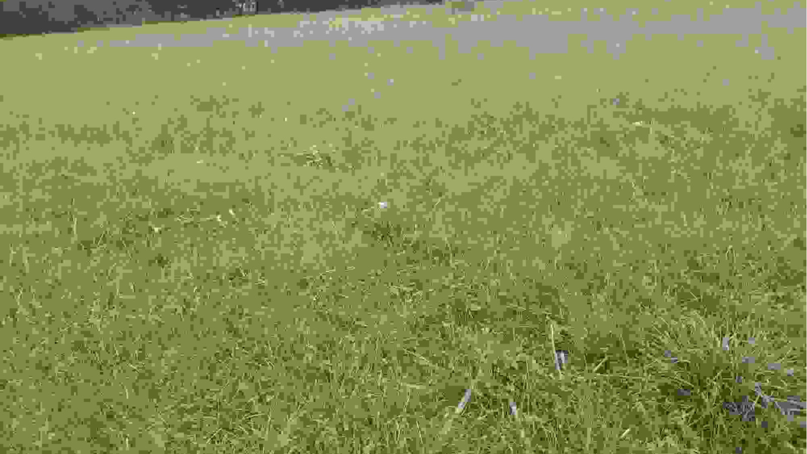 Terrain constructible de 444m2 à Bovel