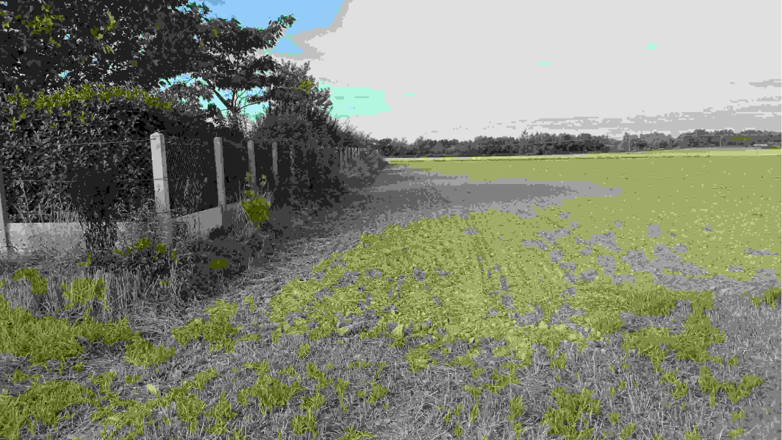 Terrain constructible de 450m2 à Saint-Domineuc