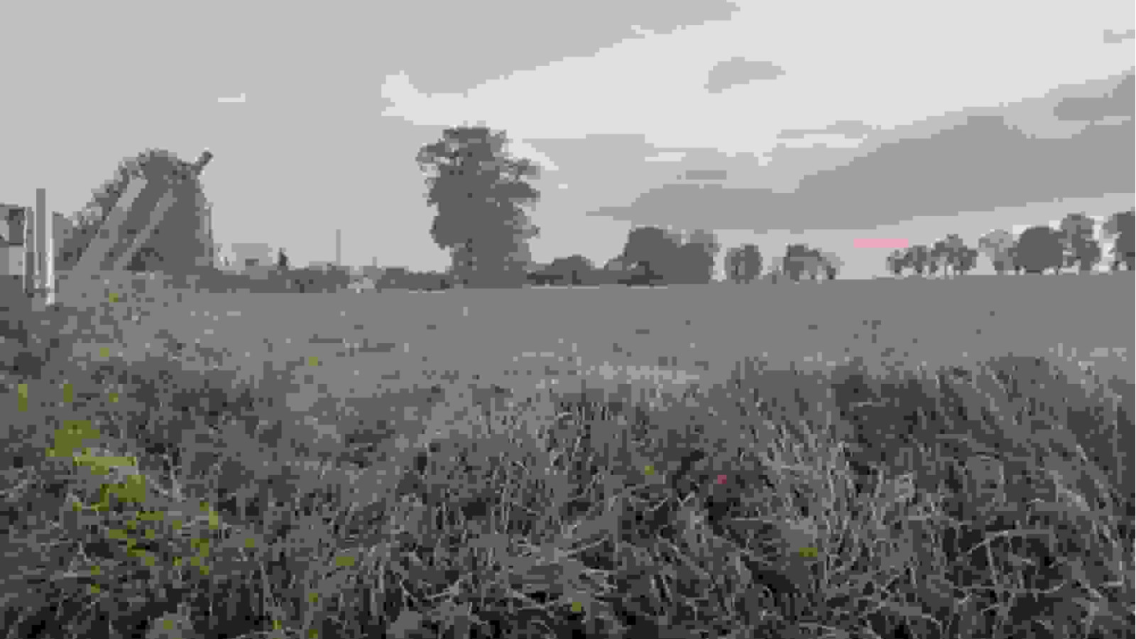 Terrain constructible de 440m2 à Melesse