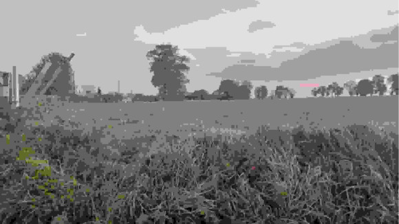 20221124_082100.jpg