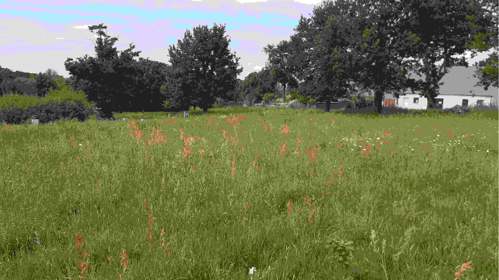 Terrain constructible de 271m2 à Châteaubourg