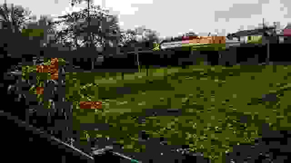 allee fregonnay_edited.jpg