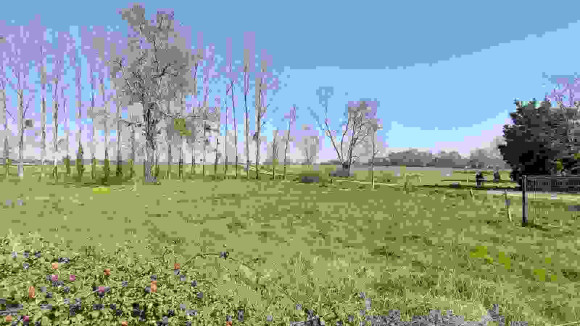 20220322_110103.jpg