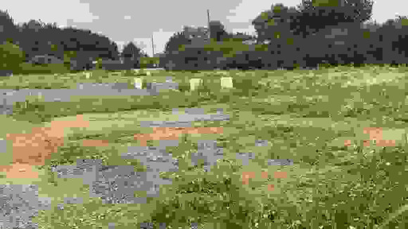 1668763359634.jpg