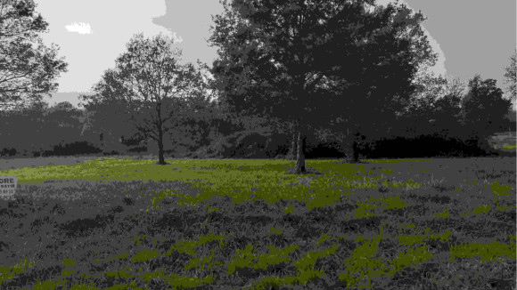 20201110_160438.jpg