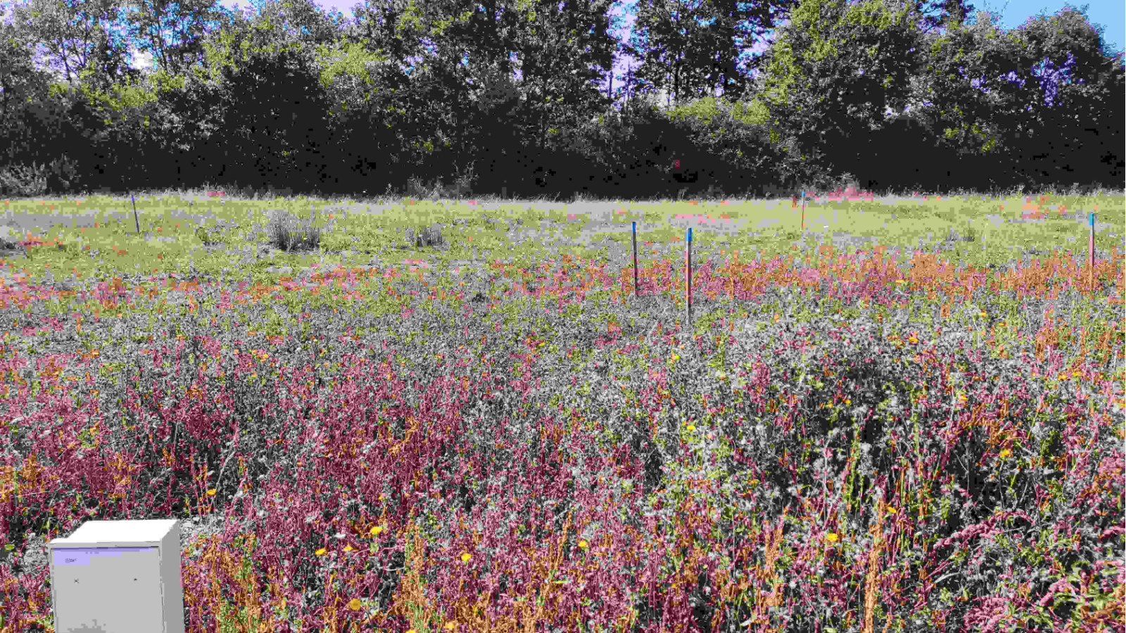 Terrain constructible de 435m2 à Saint-Mars-du-Désert
