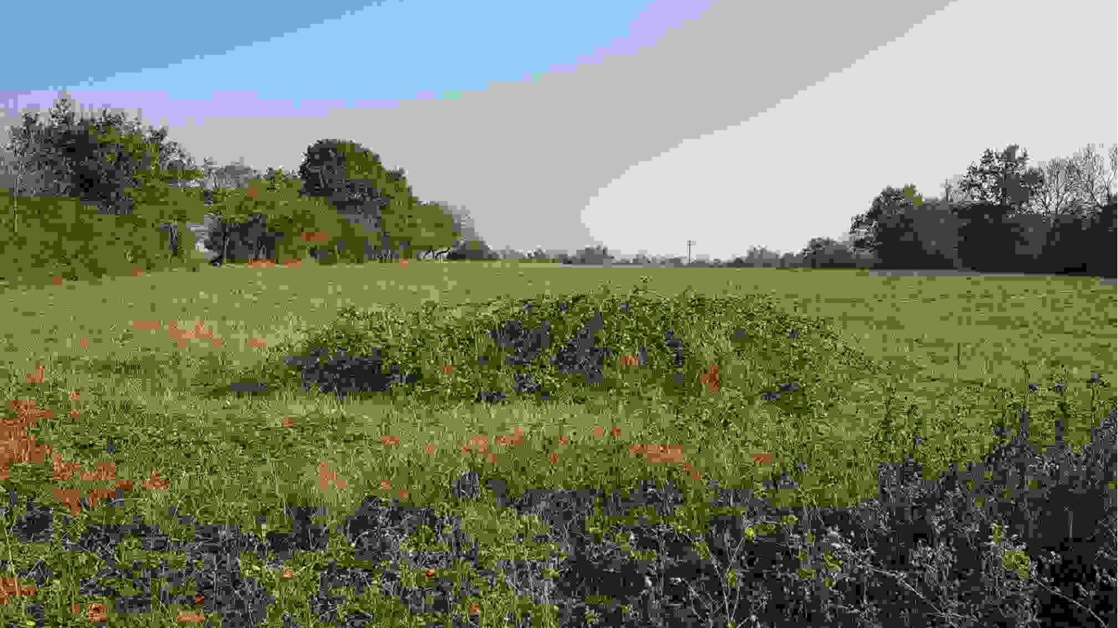 Terrain constructible de 420m2 à Saint-Mars-du-Désert
