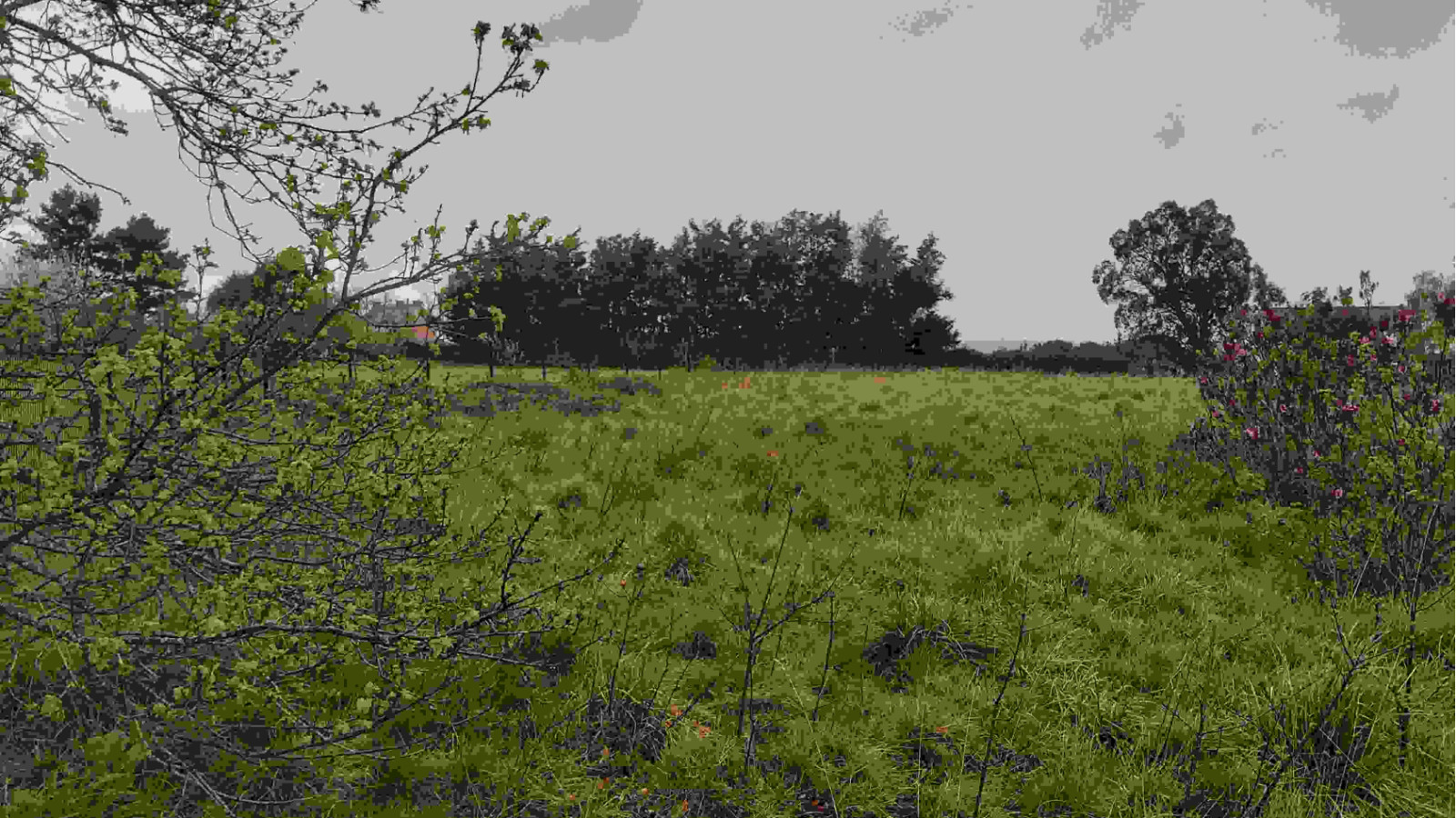 Terrain constructible de 675m2 à Pontchâteau