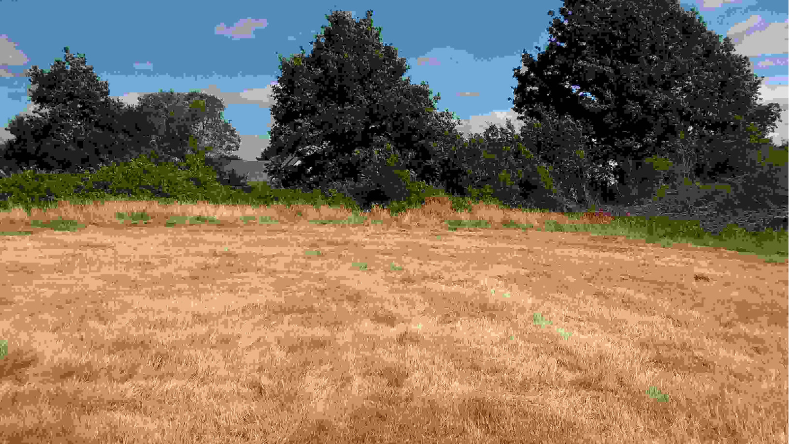Terrain constructible de 710m2 à Pontchâteau