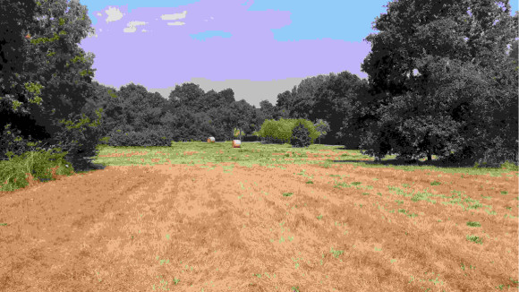 20190723_161237.jpg