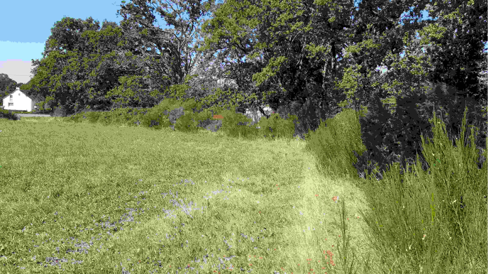Terrain constructible de 676m2 à Pontchâteau