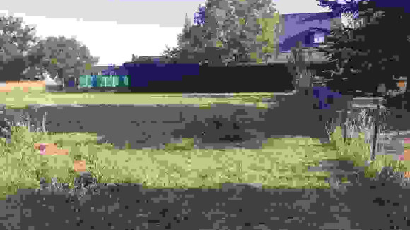camoellesgapois.jpg