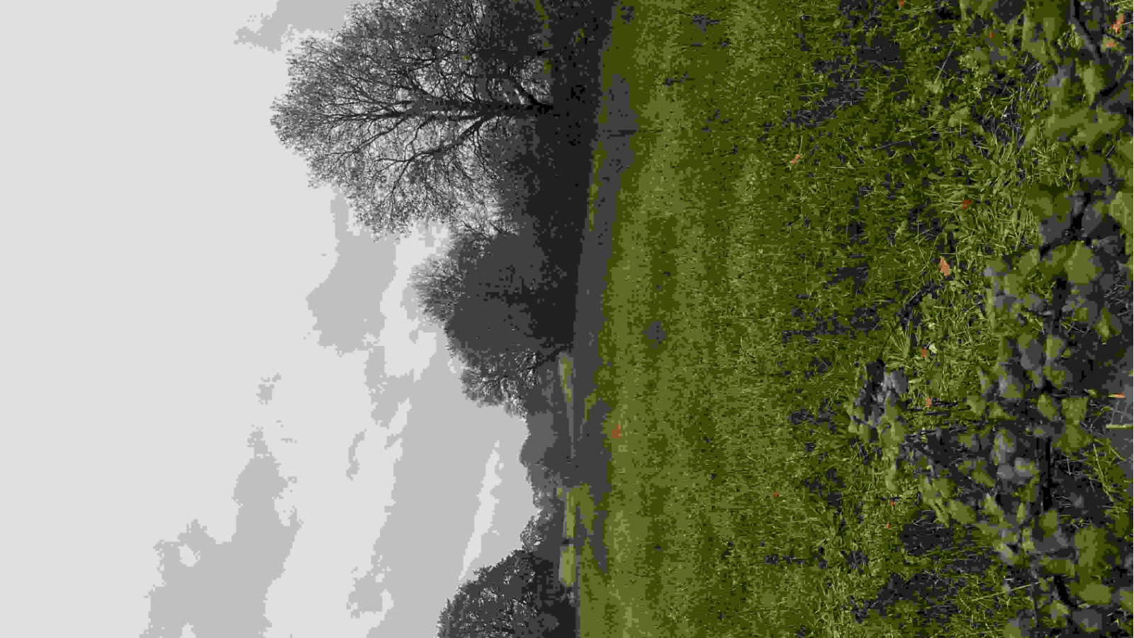 Terrain constructible de 380m2 à Saint-Philbert-de-Bouaine