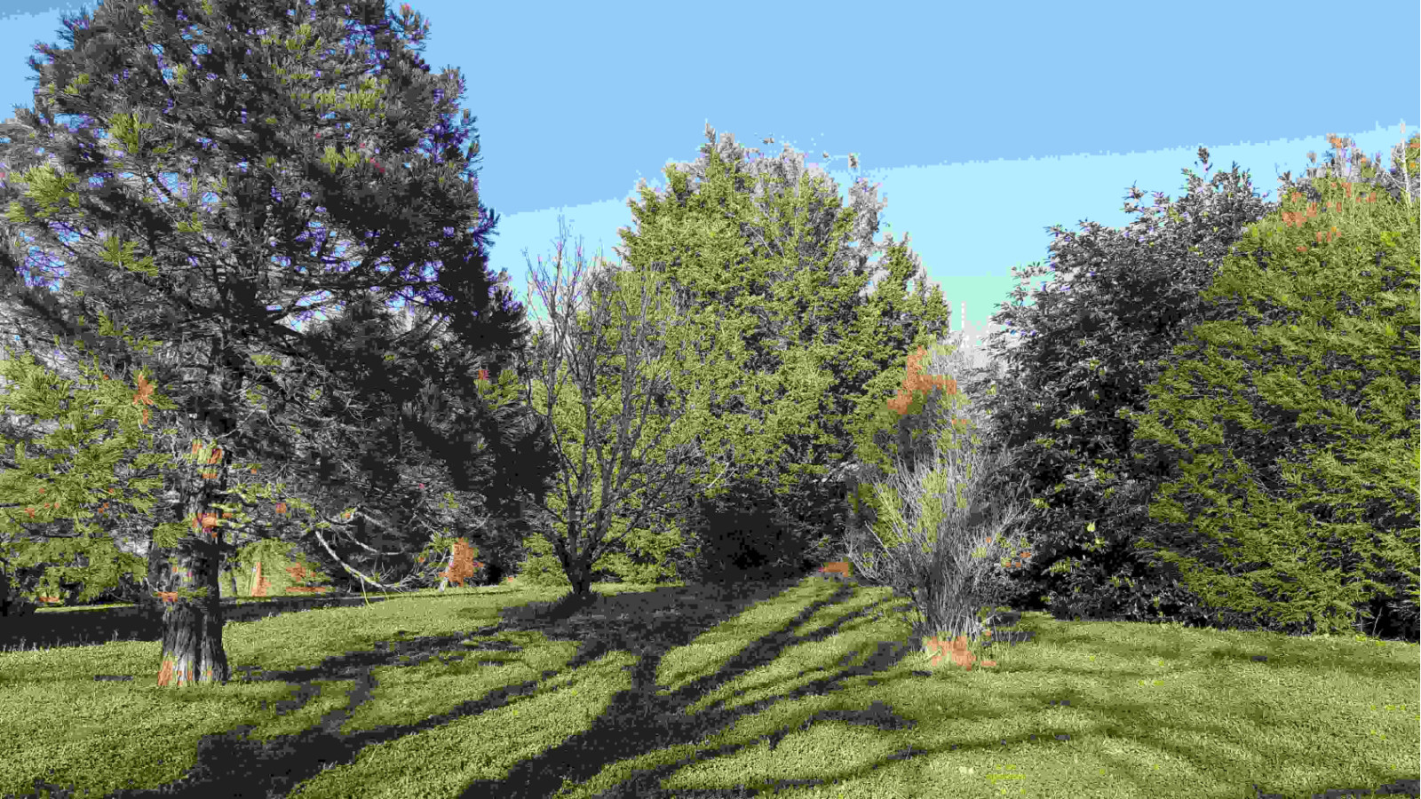 Terrain constructible de 619m2 à Pontchâteau