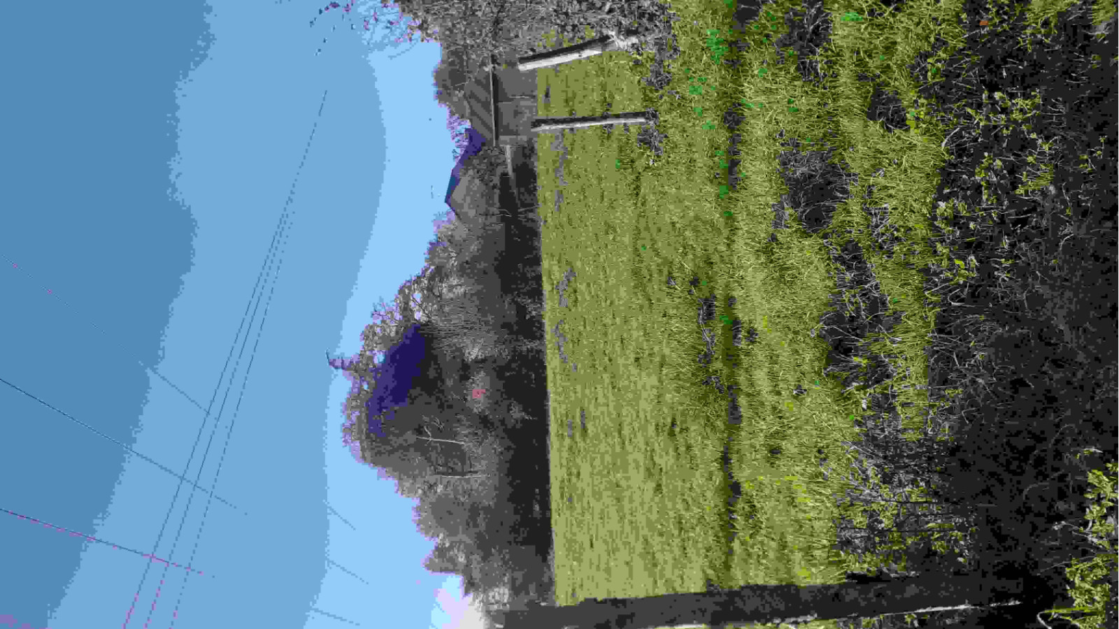 Terrain constructible de 600m2 à Pontchâteau