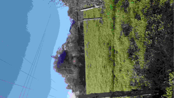 20201112_112517.jpg