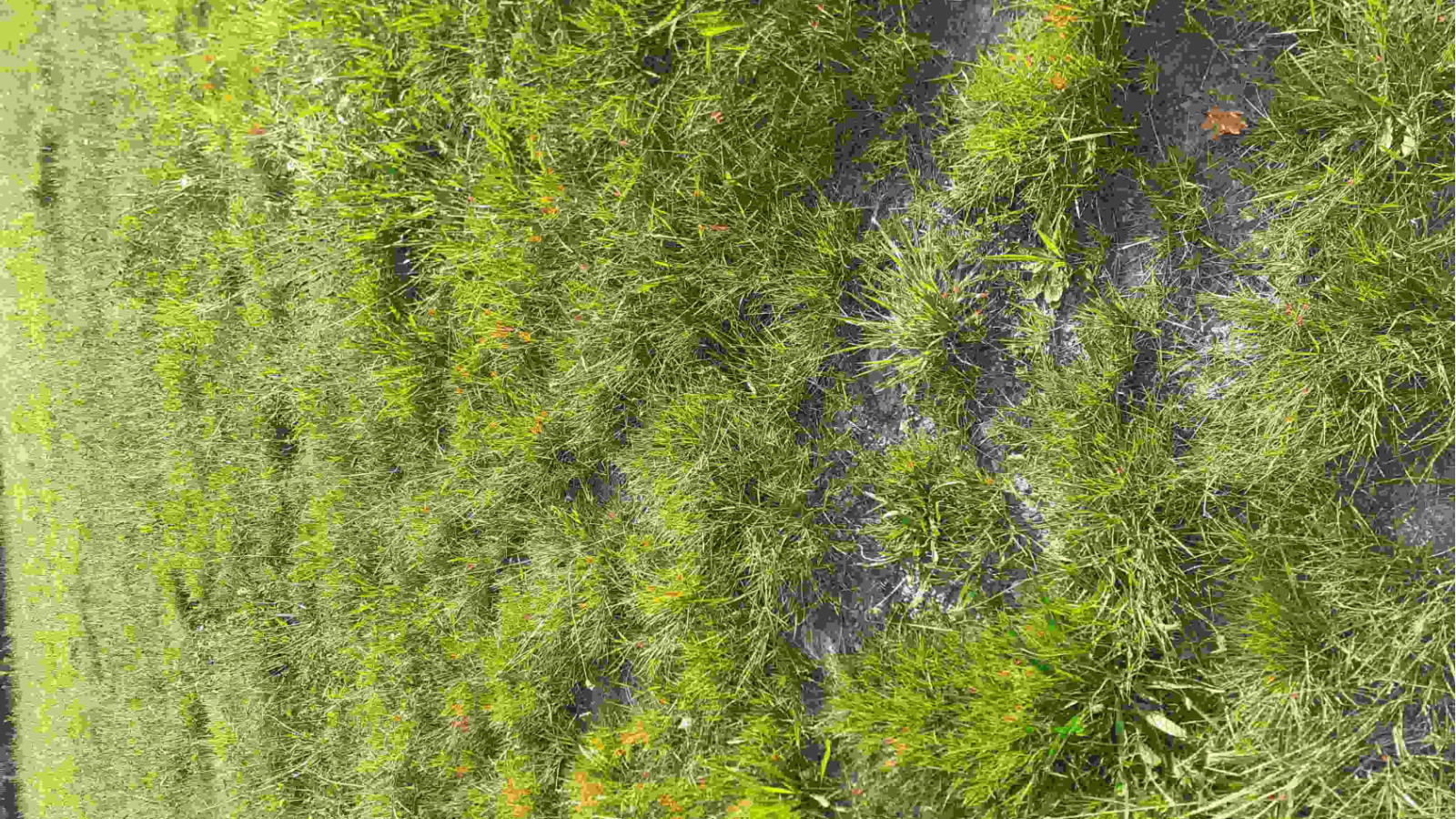 Terrain constructible de 1500m2 à Drefféac