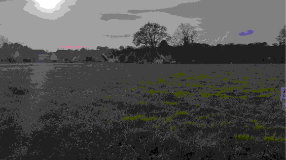 20201110_160256.jpg