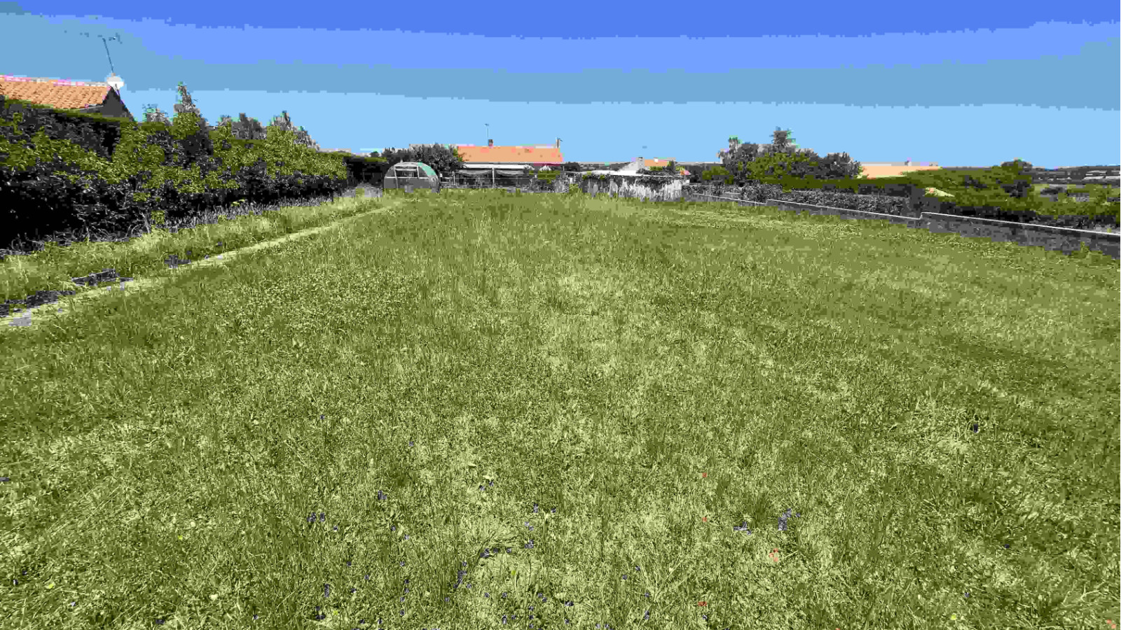 Terrain constructible de 450m2 à Vieillevigne
