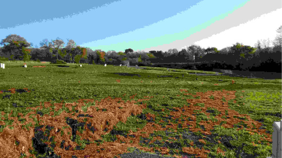 20201204_103647.jpg