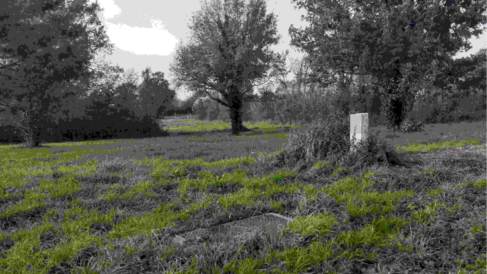 Terrain constructible de 980m2 à Pontchâteau