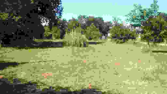 penestin0221.jpg