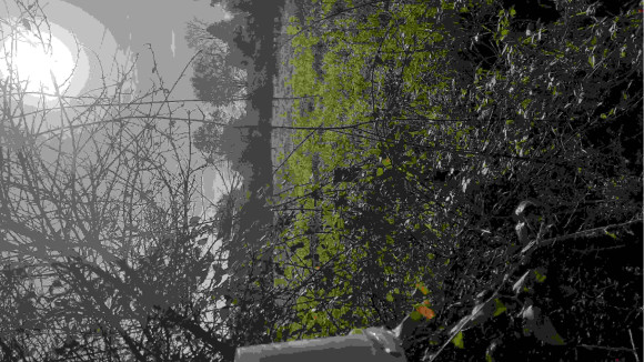 20201112_112422.jpg