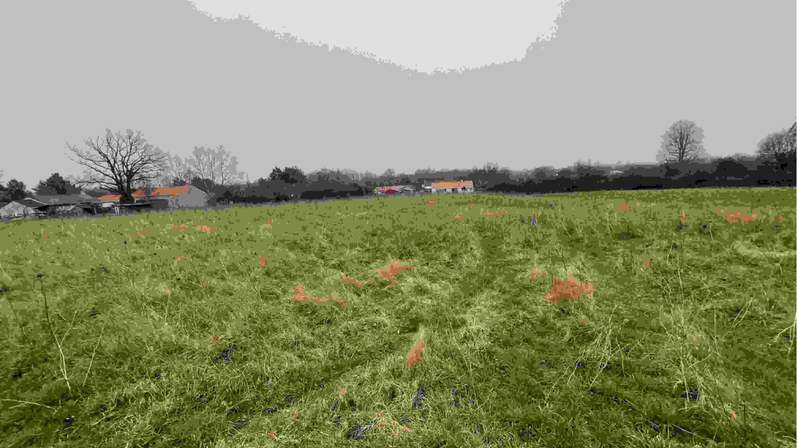 Terrain constructible de 450m2 à Rocheservière