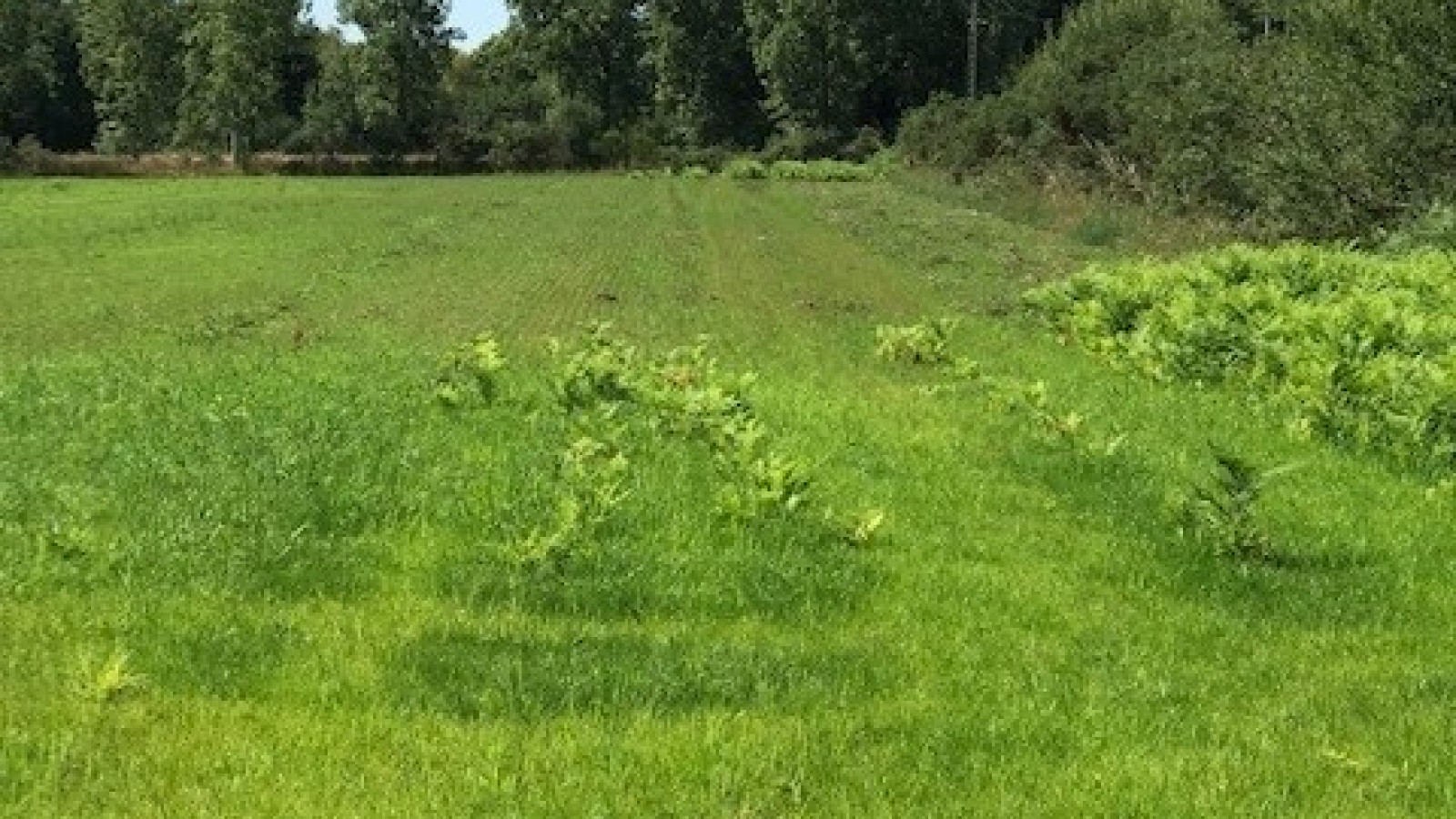 Terrain constructible de 1000m2 à Chaumes-en-Retz