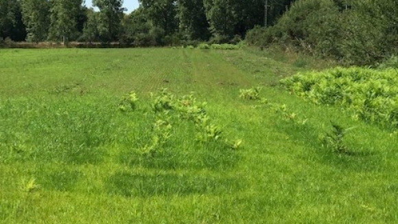 terrain 2.jpg